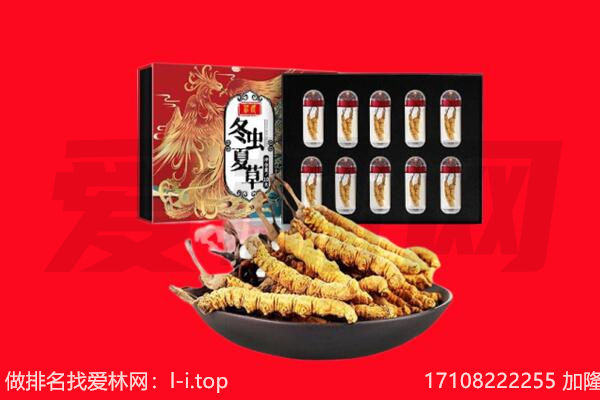 阳泉盂县回收虫草.jpg